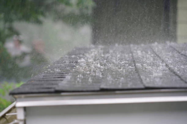 Best Roof Leak Repair  in Westhaven Moonstone, CA